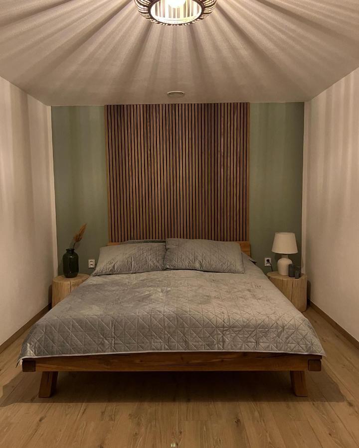 Vila Dvorecna Villa Loučovice Kültér fotó