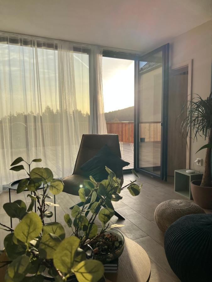 Vila Dvorecna Villa Loučovice Kültér fotó