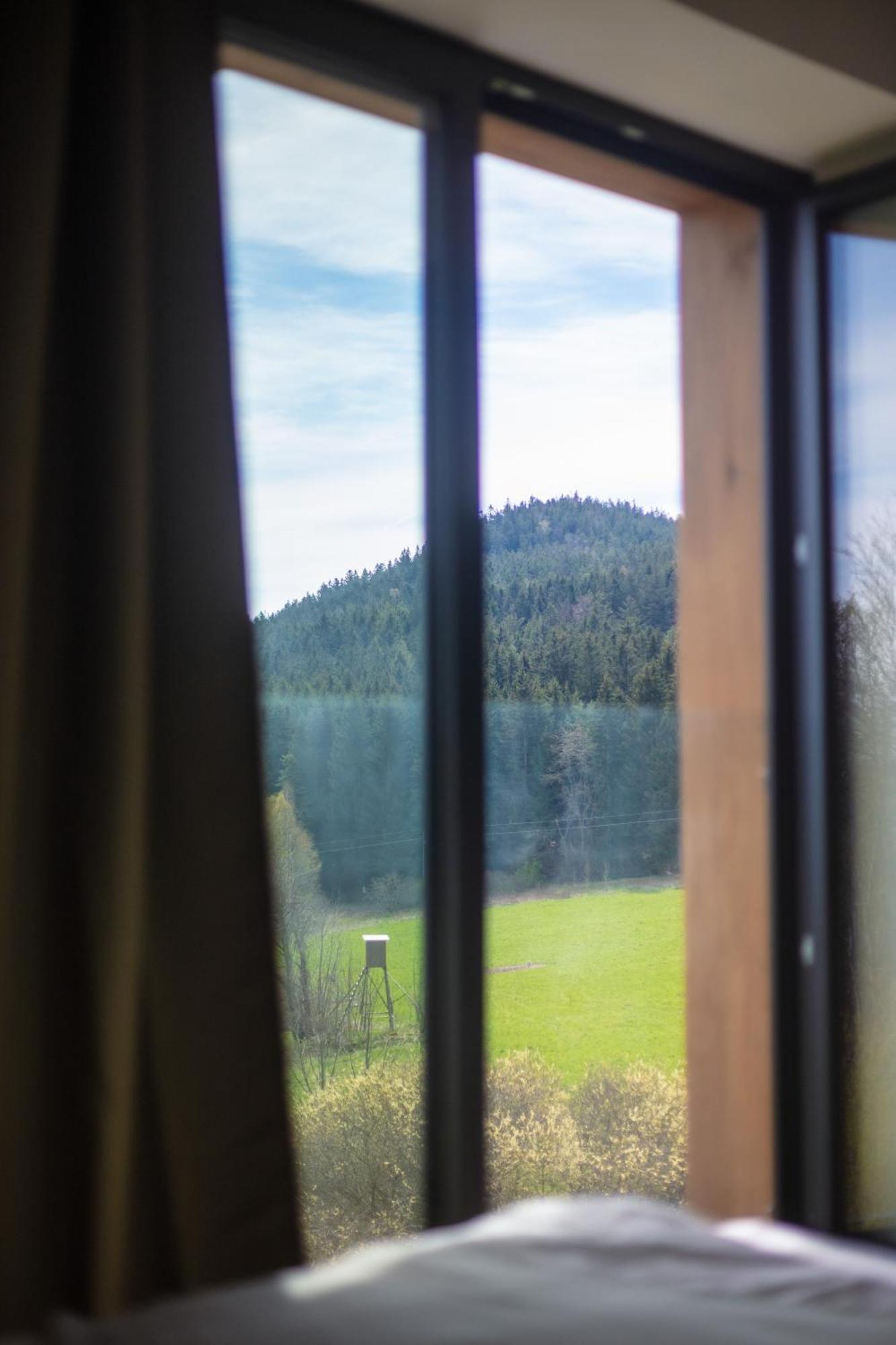 Vila Dvorecna Villa Loučovice Kültér fotó