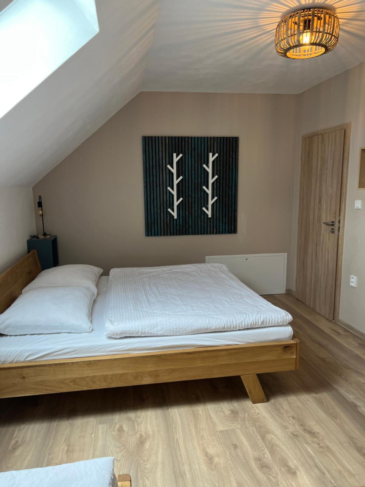Vila Dvorecna Villa Loučovice Kültér fotó