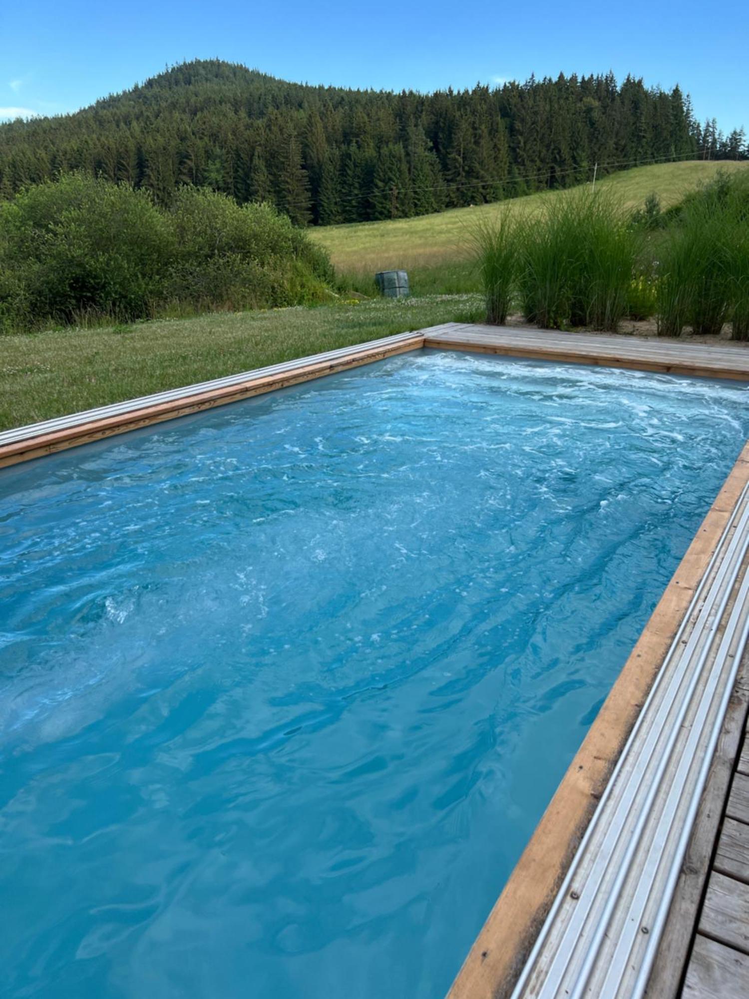 Vila Dvorecna Villa Loučovice Kültér fotó